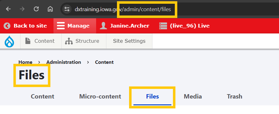 files feature