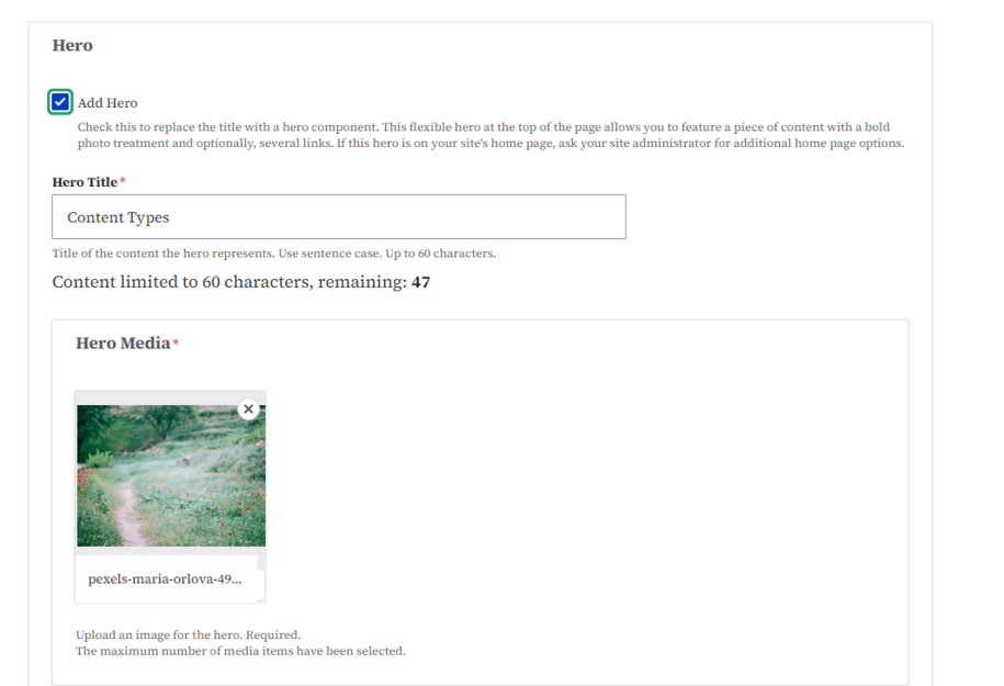 hero image check box in a landing page