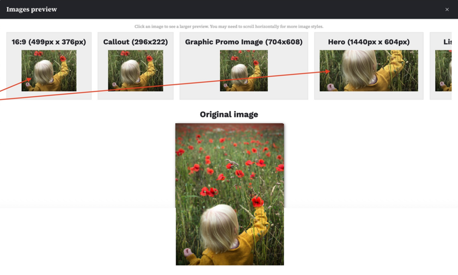 focal point example 2