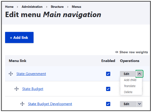 13 translation process