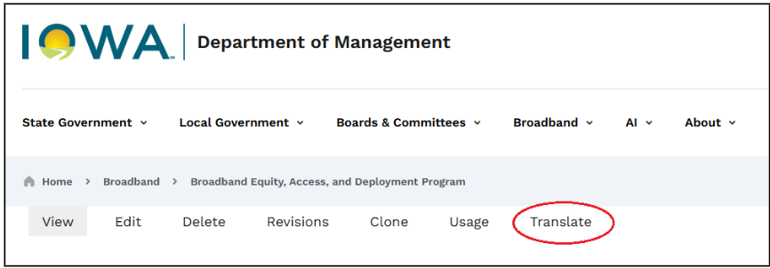 2 translation process