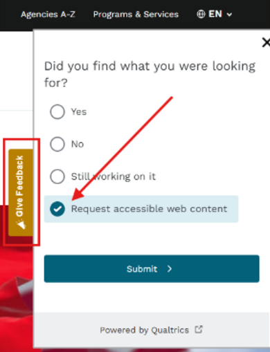Feedback tab