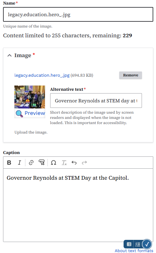 Image caption field
